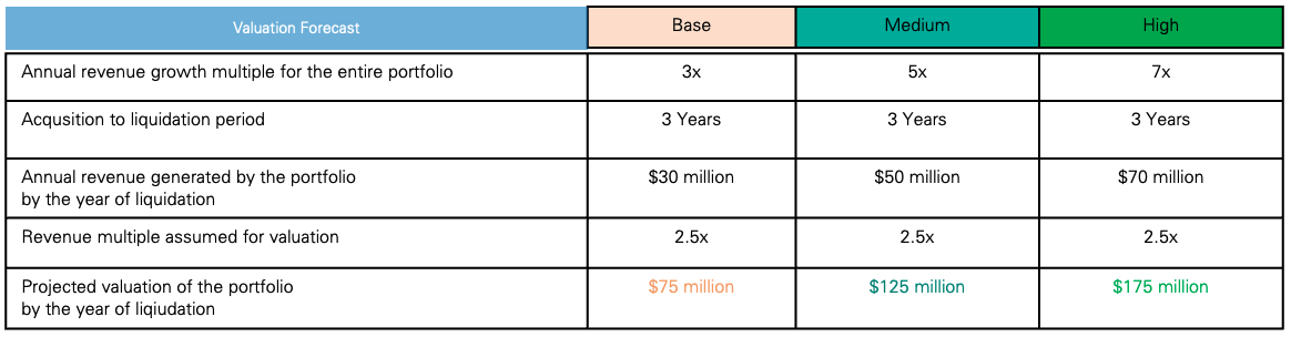 Investment thesis, hunting for financial tech IP - Valuation projection